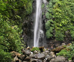 tancak gunungpasang panti jember