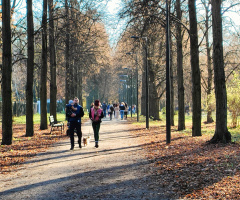 SUNDAY WALK