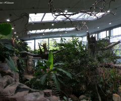 Exotic House of the Karlsruhe Zoo / Germany