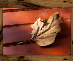 Leaf