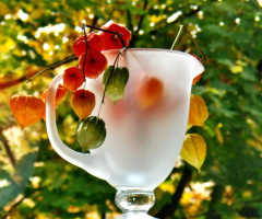 AUTUMN DECORATION 