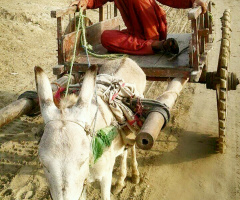 Useful transport 