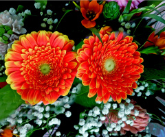 BLÜTEN