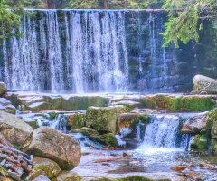 WILD WATERFALL