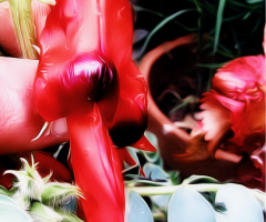 Red flower