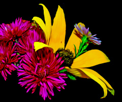 BLÜTEN