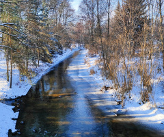 WINTER STREAM
