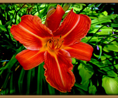 BLÜTE