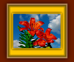 BLÜTEN