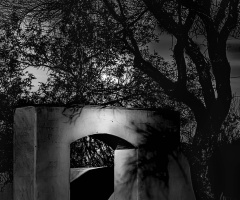 Doorway To Perception