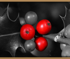 ROT  C/K