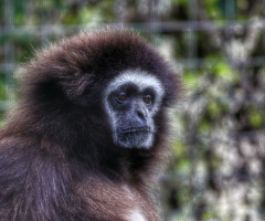 Copenhagen Zoo 2022.