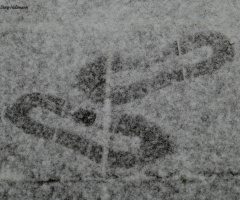 tracks in the snow