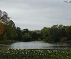 Zoological city garden, Karlsruhe / Germany