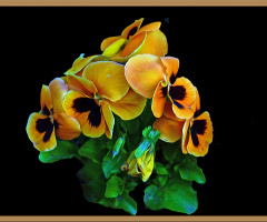 BLÜTEN