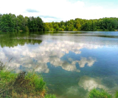 CLOUDS IN THE WATER