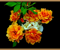 BLÜTEN