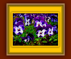 BLÜTEN
