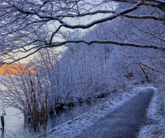 Vinter i Lyngby - Danmark