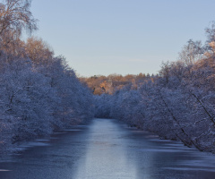 Vinter ved Lyngby - Danmark 