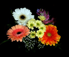 BLÜTEN