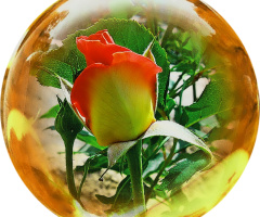 Lense editting 