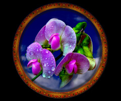 BLÜTEN