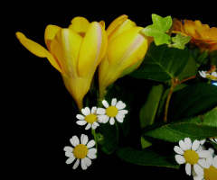 BLÜTEN
