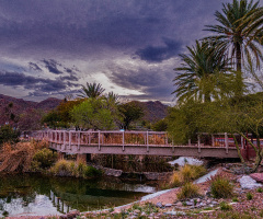 Early Arizona Spring Sunset
