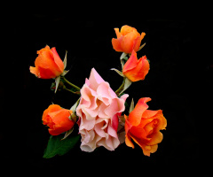 BLÜTEN