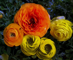 BLÜTEN