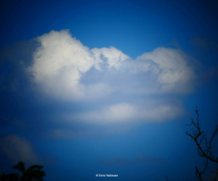 clouds