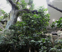 Exotic House of Karlsruhe Zoo / Germany