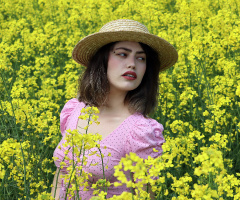 model kanola tarlası