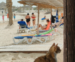 ON TUNEISIAN BEACH 