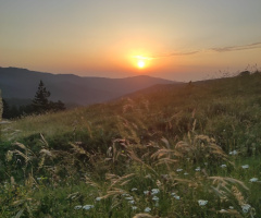 Mutluluk