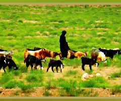 Chiltan Valley, Quetta, Balochistan ⚜⚜⚜