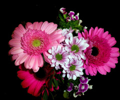 BLÜTEN