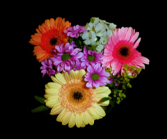 BLÜTEN
