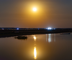 Kuş Cenneti Mahtabı