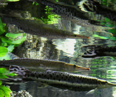 Zoo Karlsruhe / Germany
