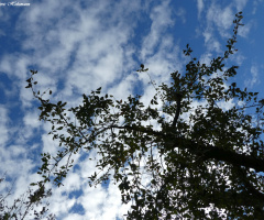 clouds