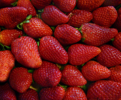 BEEREN