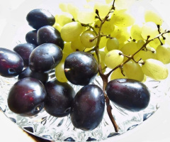 GRAPES AND PLUMS