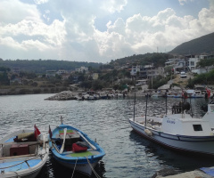 Cennet Vatan