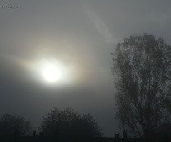 Fog over Karlsruhe / Germany