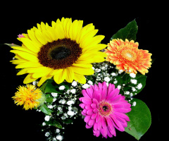 BLÜTEN