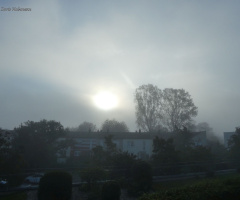 Morning mist, Karlsruhe / Germany