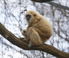 Zoo - København 2023.