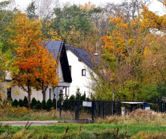 AUTUMN SCENERY